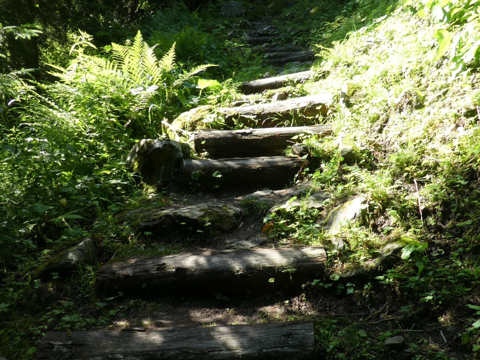 Fastenimpuls-Bild-220316-Treppe