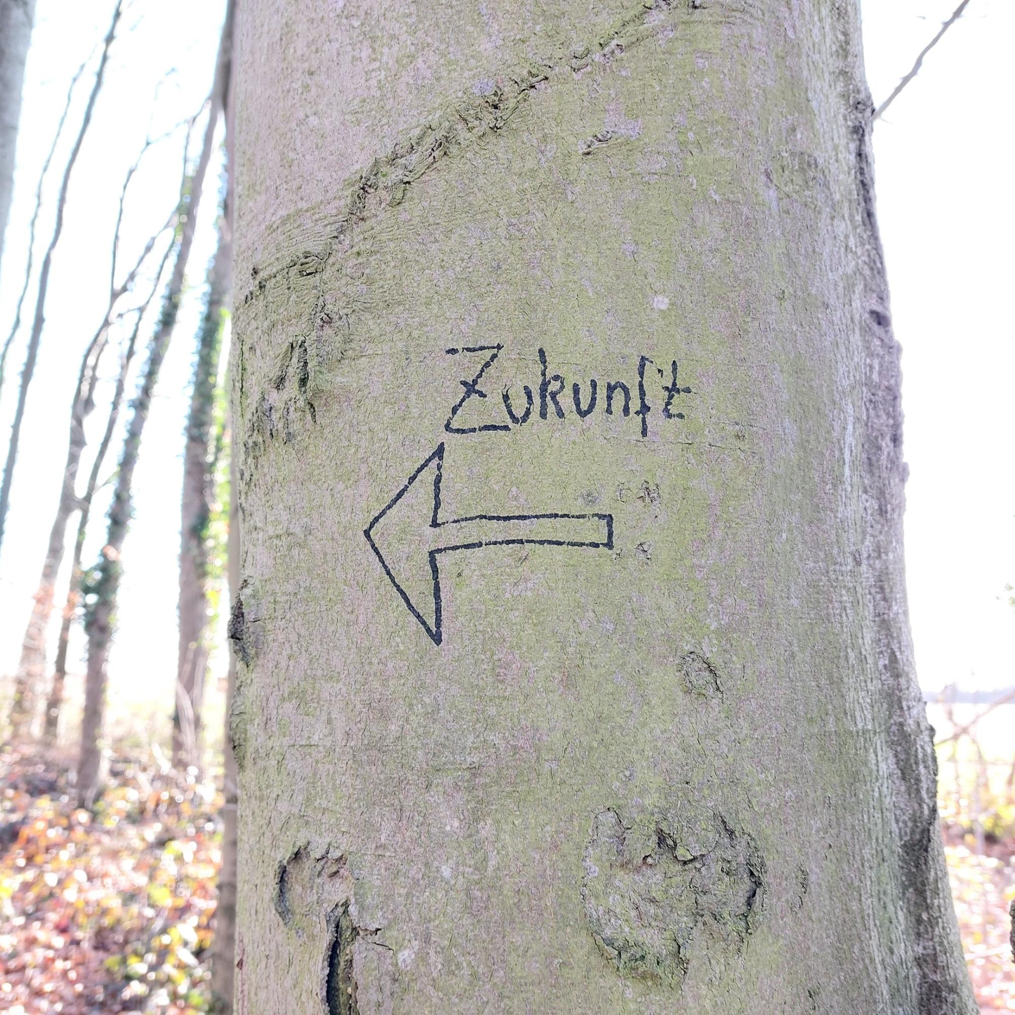 Fastenimpuls-Bild-230310