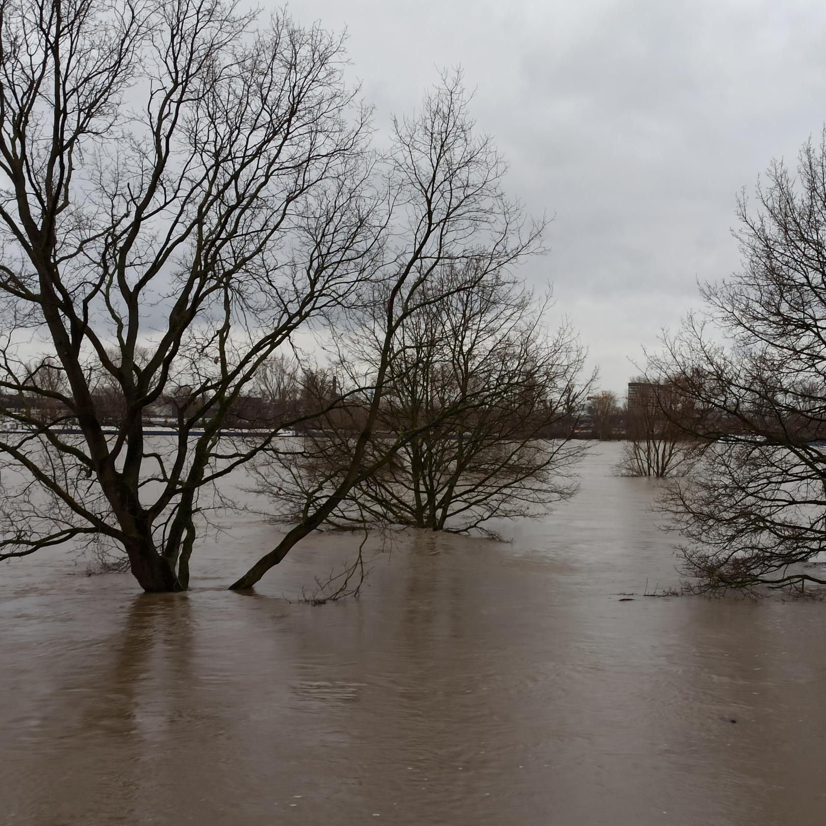 Wochenimpuls-Foto-211114-Hochwasser (c) Edith Furtmann